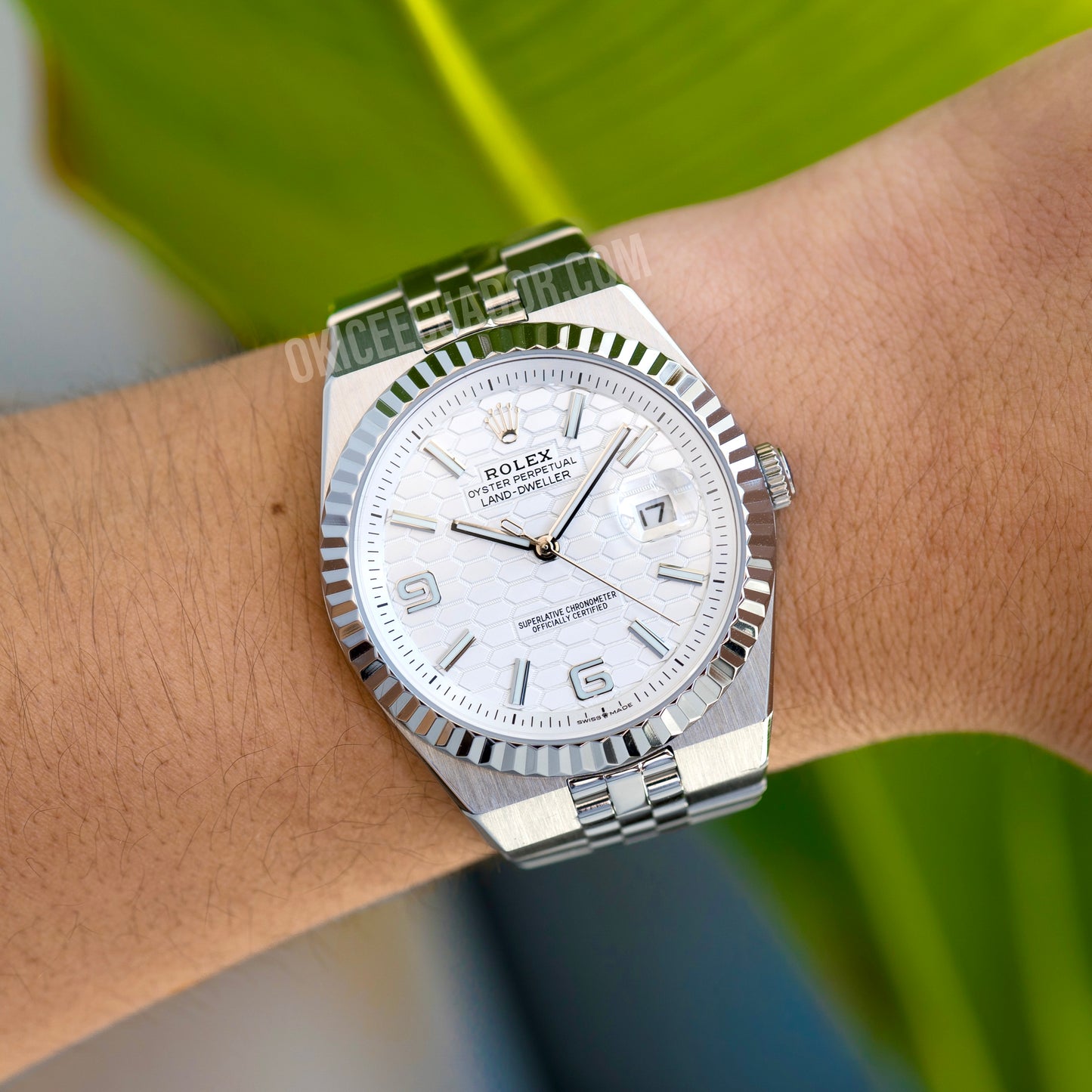 ROLEX LAND-DWELLER