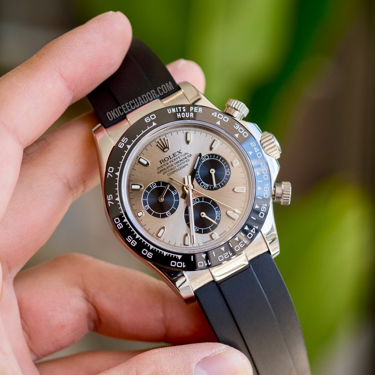 ROLEX DAYTONA CHAMPAGNE DIAL