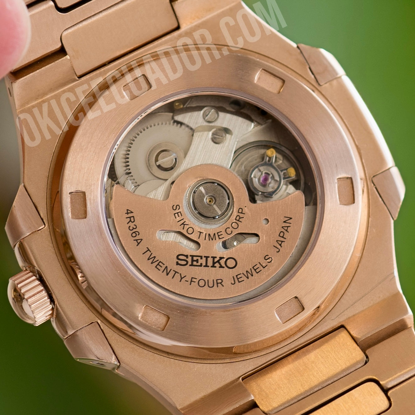 SM-24 NAUTILUS CHOCOLATE