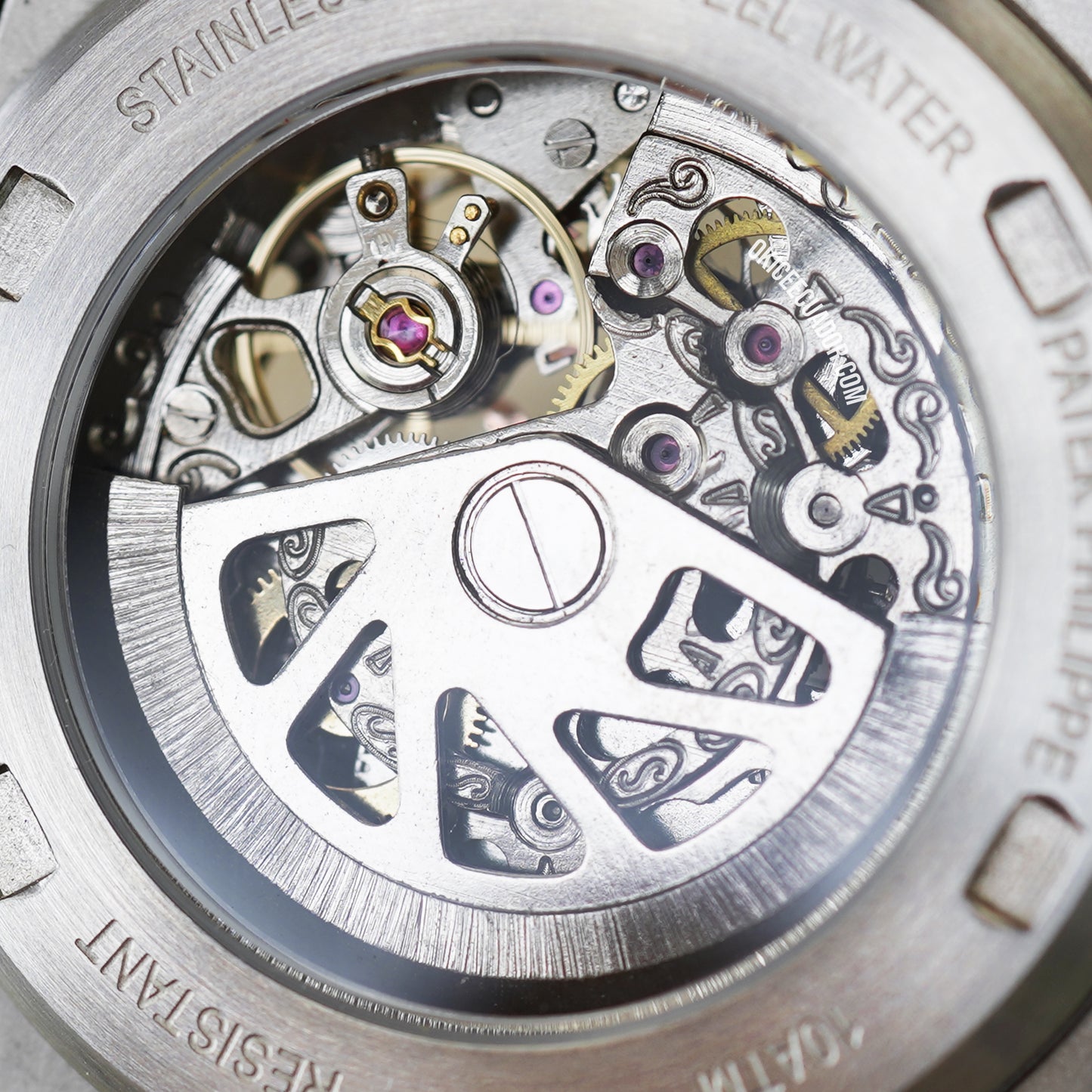 NAUTILUS SKELETON TWO-TONE